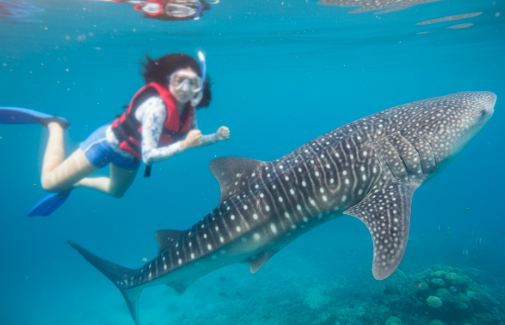 이번 세부 여행은 처음부터 끝까지 완벽했습니다. 상황이 계속 변했는데도 저희가 걱정하거나 불안해하지 않도록 현지 전문가님이 매일 체크해주시고 필요한 정보와 대안책을 빠르게 안내해주...